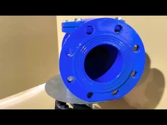 صمام التحقق من المقعد المطاطي المصنوع من الحديد الصلب مع مقاومة التآكل