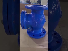 صمام التحقق من المياه المتحركة وجهاً لوجه DIN3202-F6