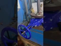 DIN3352-F4 صمامات بوابة الجذع الرخوة المقاومة للارتفاع