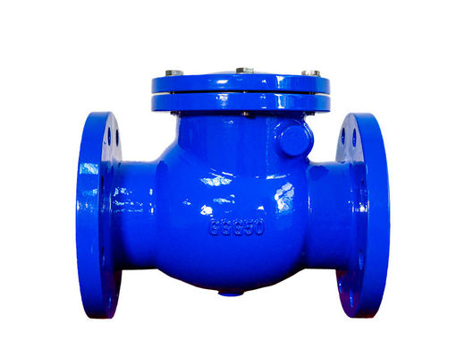 DN50-300 Cast Iron Industrial Check Valve For Water Pump JIS B2212
