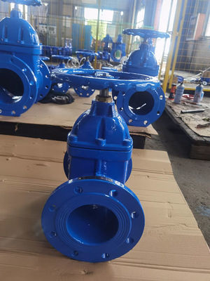 Heavy Duty F5 Gate Valve 65mm For Water Steam Oil Gas