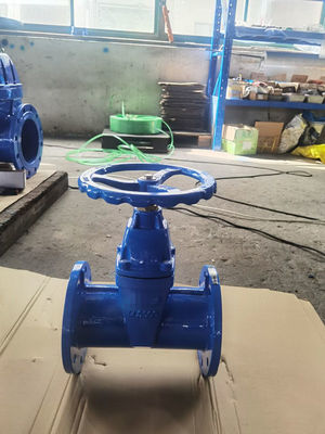 Heavy Duty F5 Gate Valve 65mm For Water Steam Oil Gas