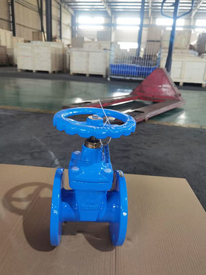 ductile Iron F4 Gate Valve 65mm Gland Type Customized