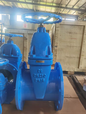 DI PN25 BS5163 Gate Valve 10 Inch Flanged ISO9001 Certifcated