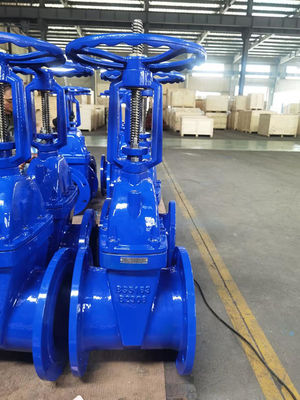 Commercial Heavy Duty BS5163 Gate Valve DN100