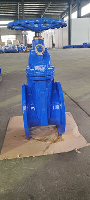 OEM Flanged Soft Seat Gate Valve DIN/BS5163/ANSI/GB Standard