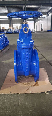 OEM Flanged Soft Seat Gate Valve DIN/BS5163/ANSI/GB Standard