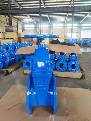 ODM Flanged CI Soft Seat Gate Valve Supplier 125lb-150lb