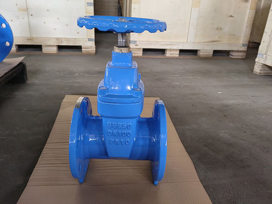 OEM BS5163 Gate Valve Cast Iron Valves DN50-DN600