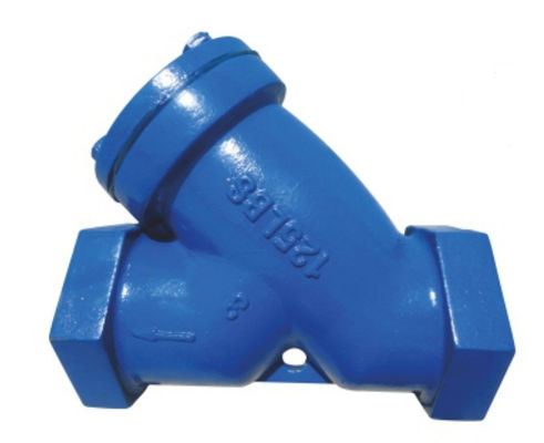 Natural Gas Y Strainer For Water Line DN50-DN300