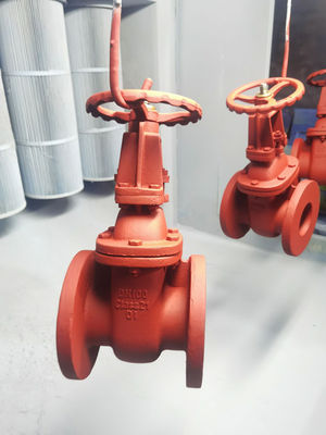 Hard Seat Material Cast Iron Gate Valve DN50 - DN300 For Gas