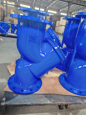 SS316 Y Strainer Valve PN10 PN16 Flanged Cast Iron For Water Steam Oil