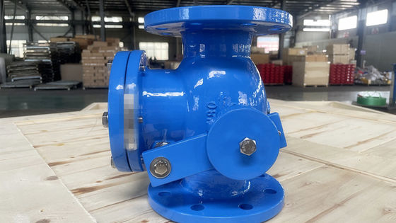 Industrial Cast Iron Check Valve with Sturdy Construction