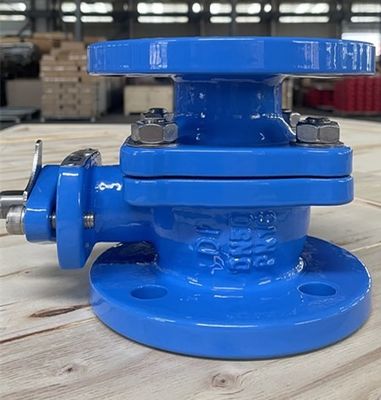 Industrial Ductile Iron Ball Valve with Flawless Performance