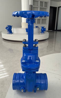 ANSI Rising Stem Soft Seat Groove  Gate Valve