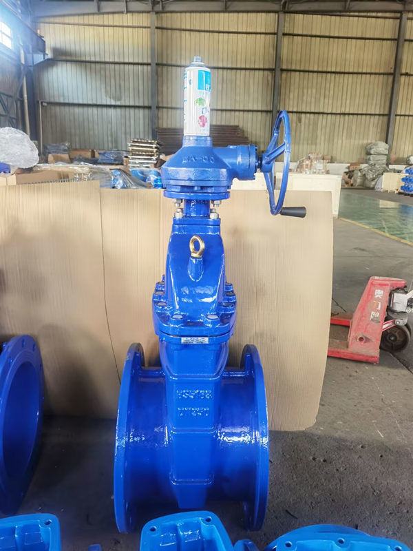 DN450 18 Inch Gate Valve For Oil Pressure Rating PN10 PN16 125lb-150lb